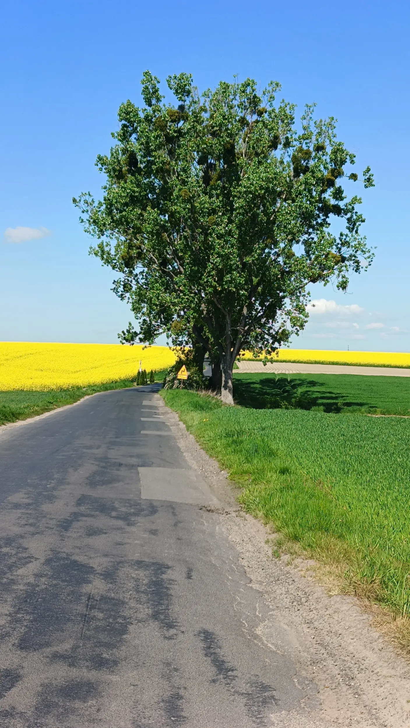 Czasem asfalt