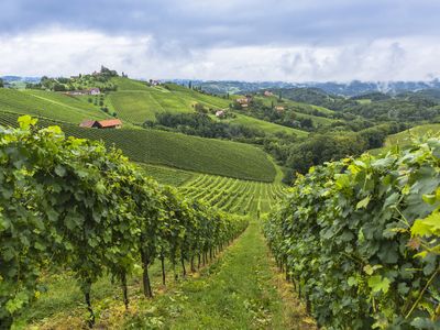 Szlak wina w południowej Styrii (foto: © Steiermark Tourismus/Harry Schiffer)