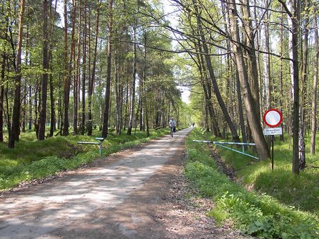 LASY PRZY ZALEWIE GOCZAŁKOWICKIM 1