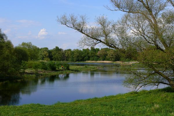 Oderlandschaft (foto: www.germany.travel)