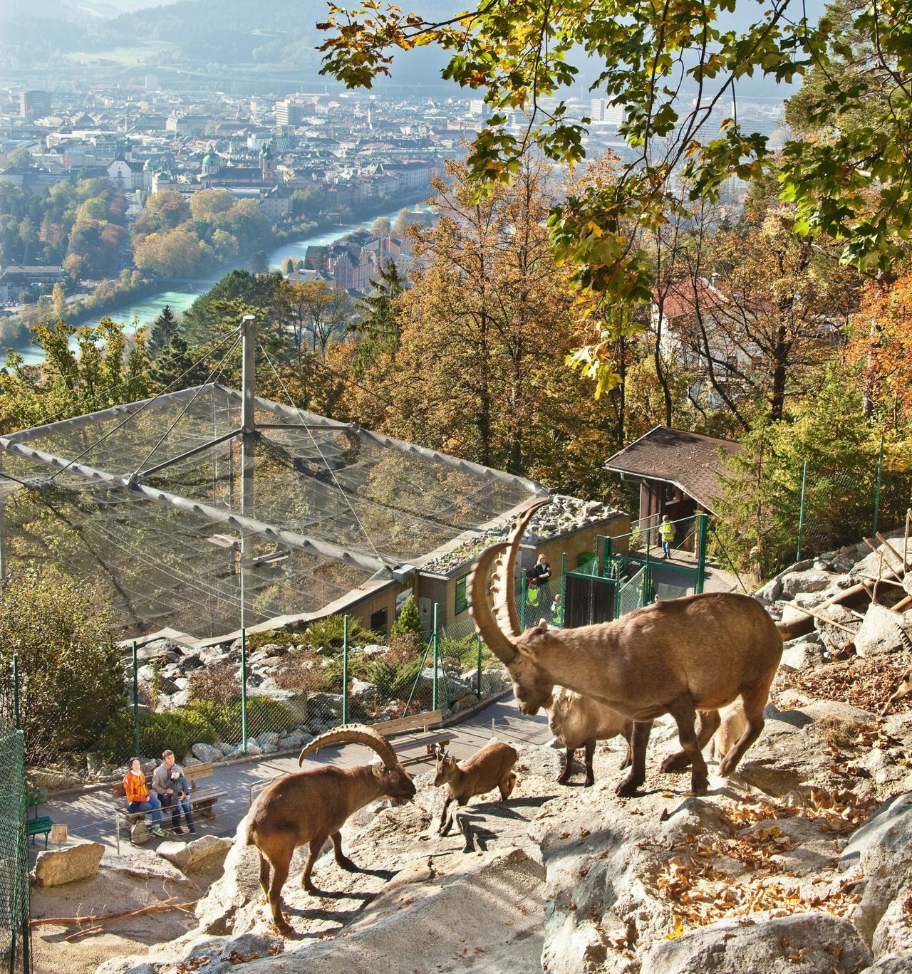 Alpenzoo Innsbruck (c)Innsbruck Tourismus, Christof Lackner