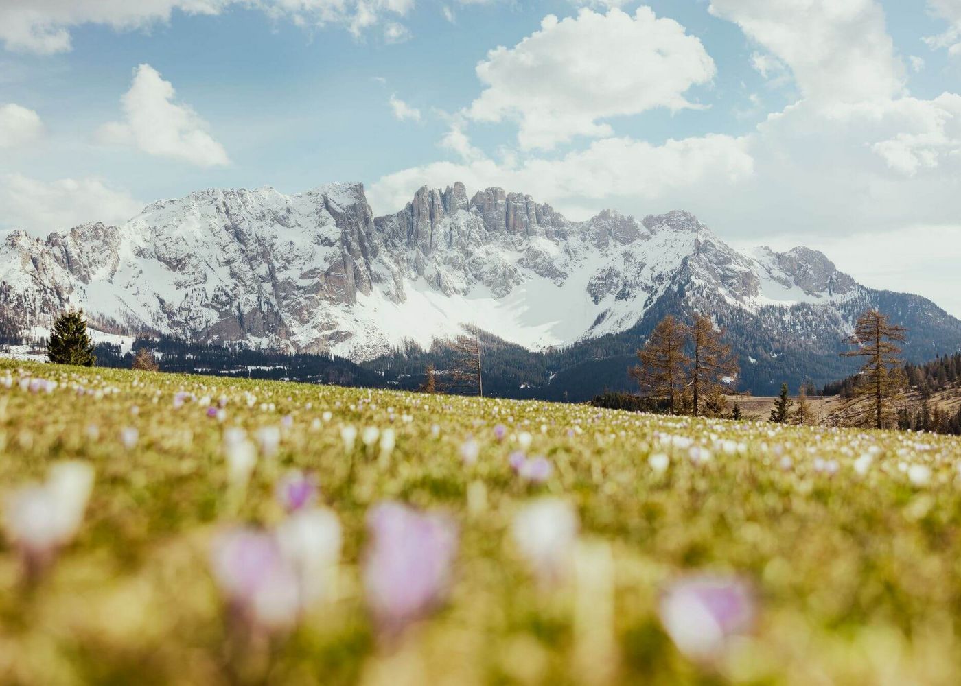 Sudtirol-Alto Adige / fot. Alex Moling Sudtirol-Alto Adige / fot. Alex Moling