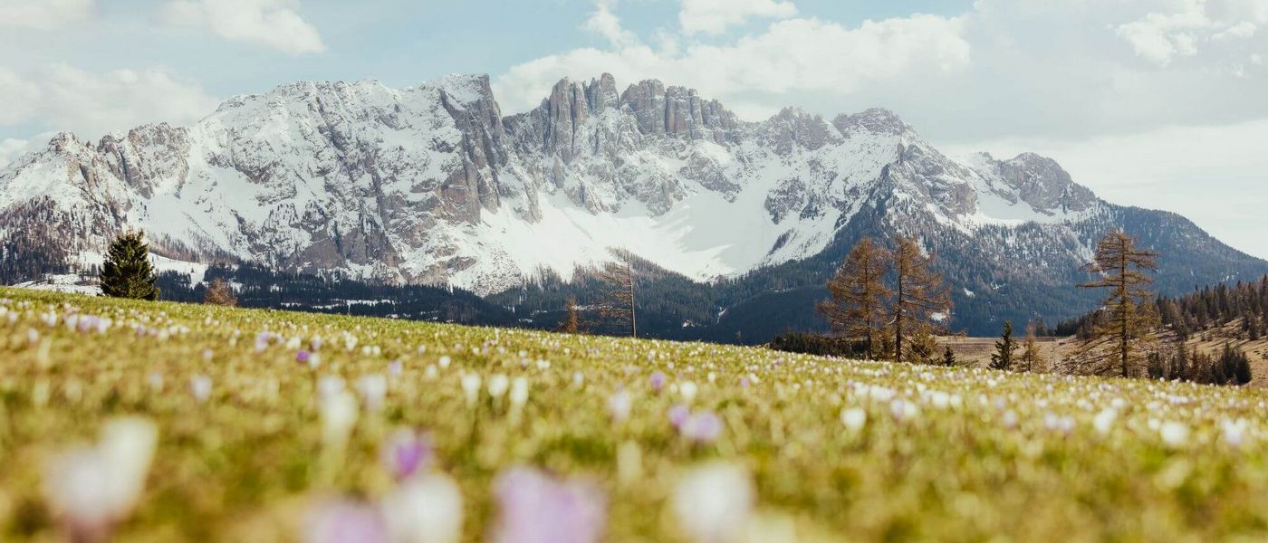 Sudtirol-Alto Adige / fot. Alex Moling