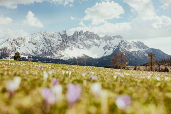 Sudtirol-Alto Adige / fot. Alex Moling
