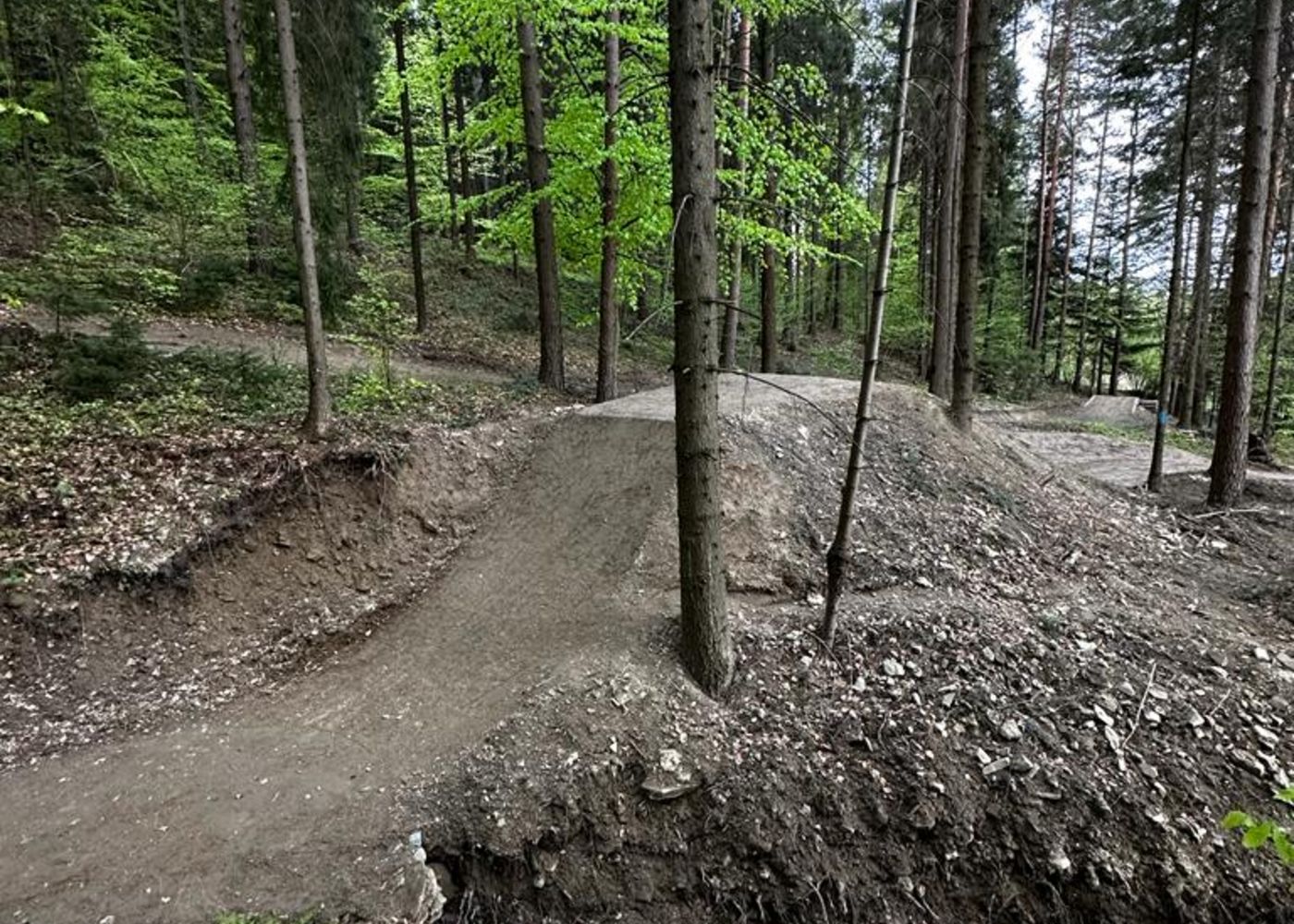 Kasina Bike Park (fot. Southern Gravity) Kasina Bike Park (fot. Southern Gravity)