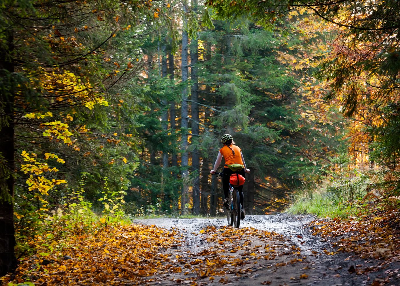 Jesienne sporty (foto: AdobeStock / mat. prasowe) Jesienne sporty (foto: AdobeStock / mat. prasowe)