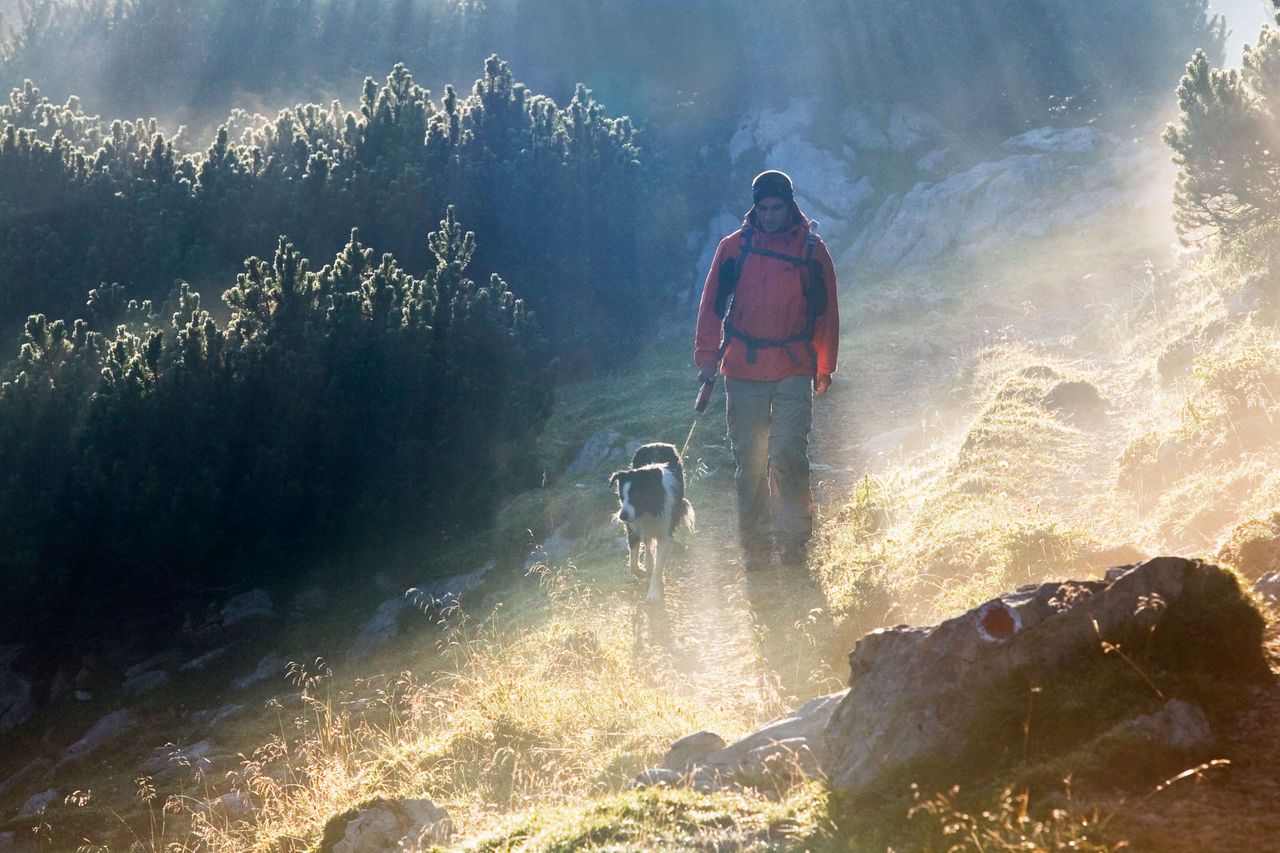 Wanderer, Hund, Kramsach (c)Alpbachtal Tourismus, Christian Vorhofer