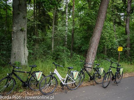 Ścieżka rowerowa w okolicach Mielna