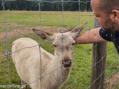 More Safari Park (fot. P. Burda)