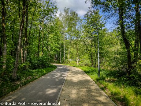 Ścieżka pieszo rowerowa w kierunku Szczyrku fot. P. Burda)