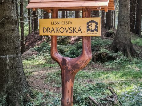 Drakovska cesta prowadzi nas przez lasy (foto: P. Burda