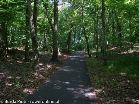 Leśny odcinek szlaku rowerowego R10 - Mielno - Nadmorski Szlak Hanzeatycki, EuroVelo 10