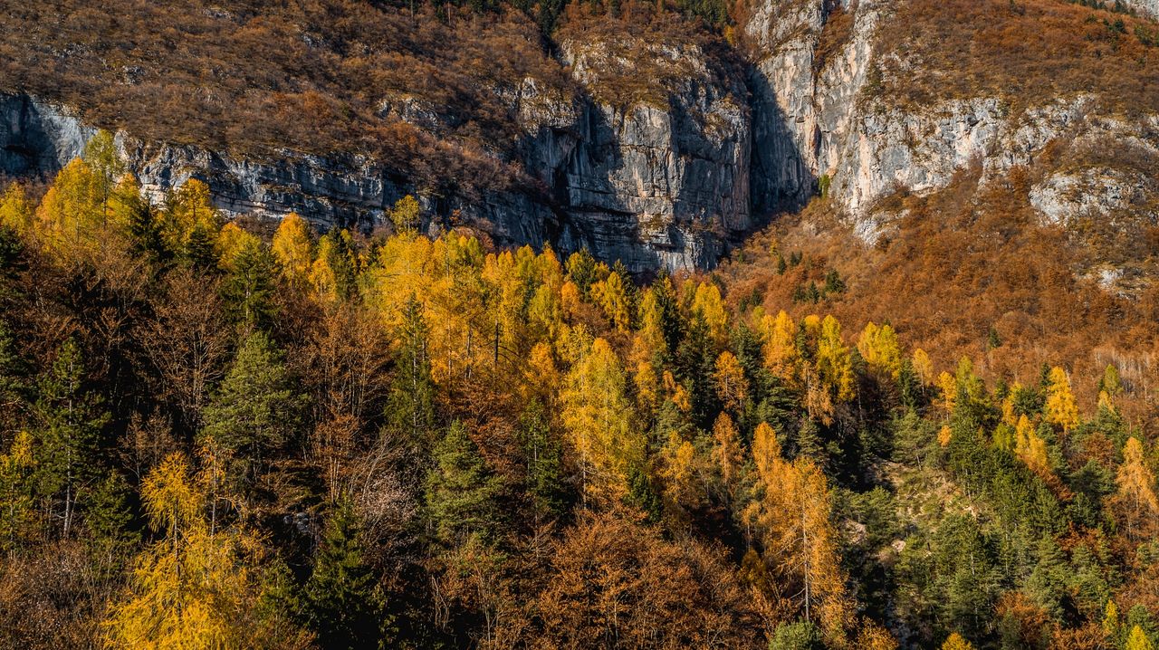 Val di Non - Lago di Tovel - Foliage - Bosco - Foresta (fot.A.Vallauri)