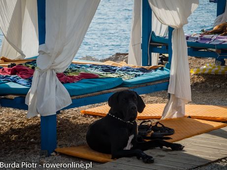 Coś dla miłujących czworonożnych przyjaciół - plaża dla psów (foto: P. Burda)