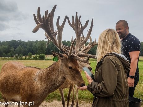 More Safari Park (fot. P. Burda)