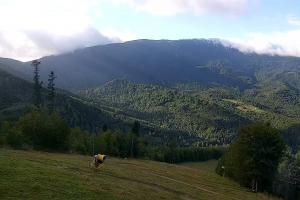 Zawoja PKL Bike Park Mosorny Groń Widok na stok