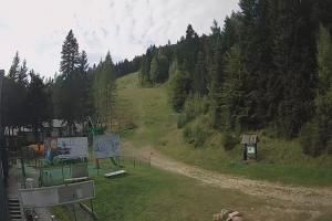 Niedźwiedź Koninki Gravity Park Dolna stacja