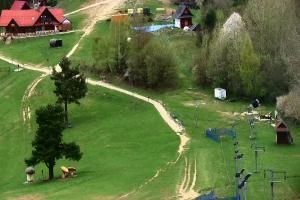 Szczawnica Palenica Szafranówka