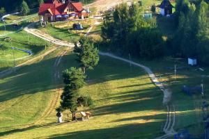 Szczawnica Palenica Szafranówka