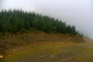 Szczyrk Szczyrk Mountain Resort Zbójnicka Kopa – 1205 m n.p.m.