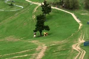 Szczawnica Palenica Szafranówka