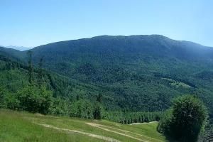 Zawoja PKL Bike Park Mosorny Groń Widok na stok