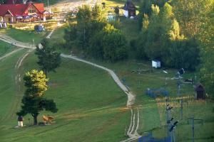 Szczawnica Palenica Szafranówka