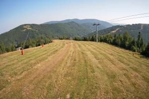 Szczyrk Szczyrk Mountain Resort Hala Pośrednia - 1000 m n.p.m.