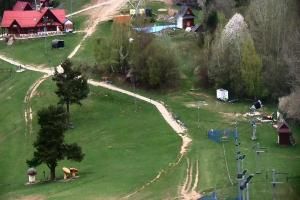 Szczawnica Palenica Szafranówka