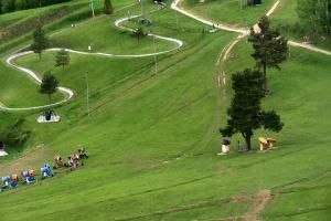 Szczawnica Palenica Szafranówka
