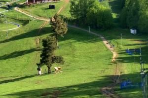 Szczawnica Palenica Szafranówka