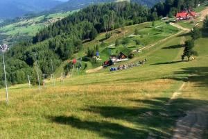 Szczawnica Palenica Szafranówka