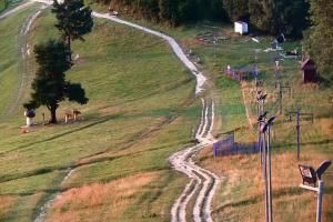 Szczawnica Palenica Szafranówka