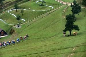 Szczawnica Palenica Szafranówka