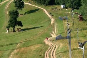 Szczawnica Palenica Szafranówka