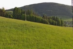 Krynica - Zdrój Bike Park Słotwiny Stacja narciarska Krynica Słotwiny